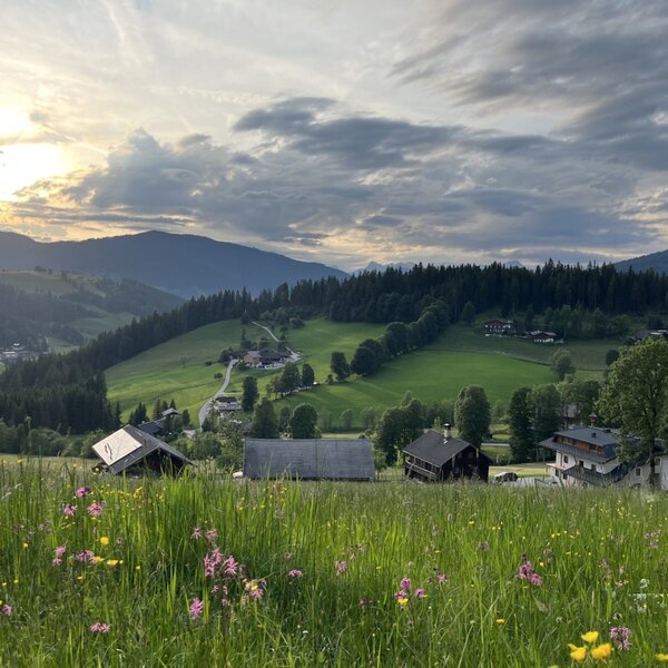 Peterlehen