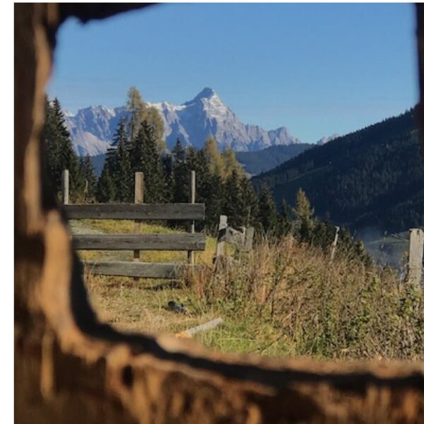 Mountain view, framed by wood, with trees and a fence in the foreground.