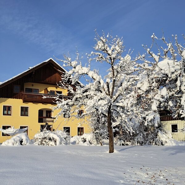 The yellow Farm House exterior with wooden balconies, surrounded by snow-covered grounds and trees, visible under a clear sky.