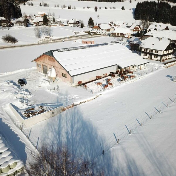 The farm house features its newly built barn with cows, visible in a snowy winter landscape.