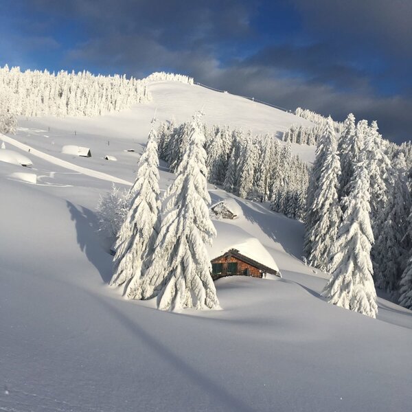Die Hütte des Hofes in einer verschneiten Winterlandschaft mit Bäumen.