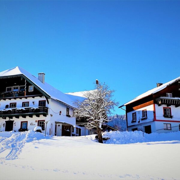 Die beiden Bauernhöfe im Winter, mit verschneiten Dächern und Skispuren im Vorgrund.