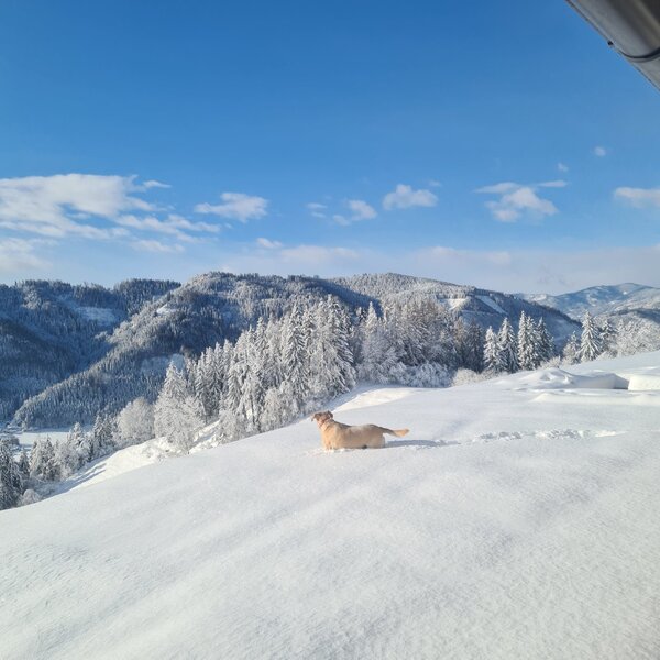 View towards Pölstal from the terrace