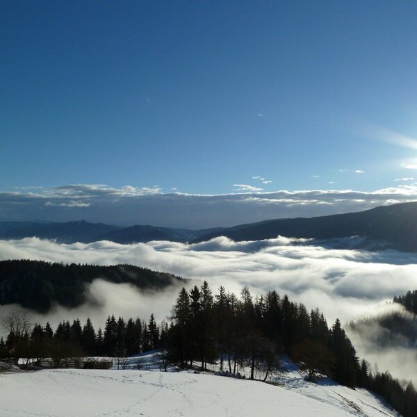 So beautiful - when the fog still lies in the valley