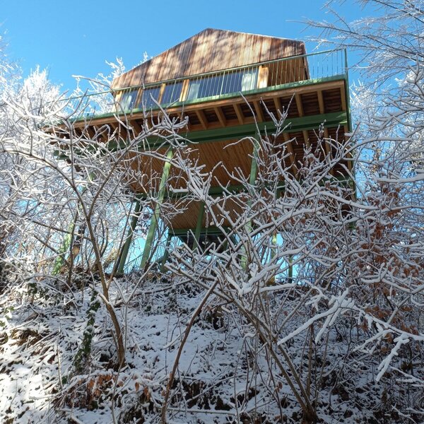 Baumhaus im Winter
