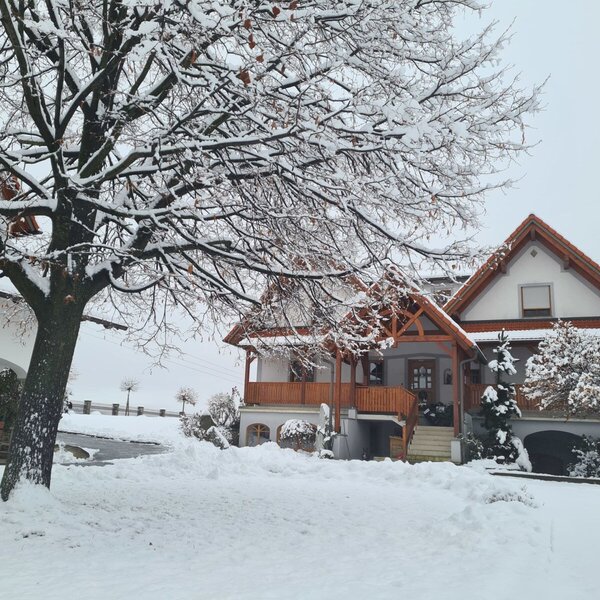 The snow-covered exterior of the Farm House, featuring a prominent bare tree and a covered wooden entrance.