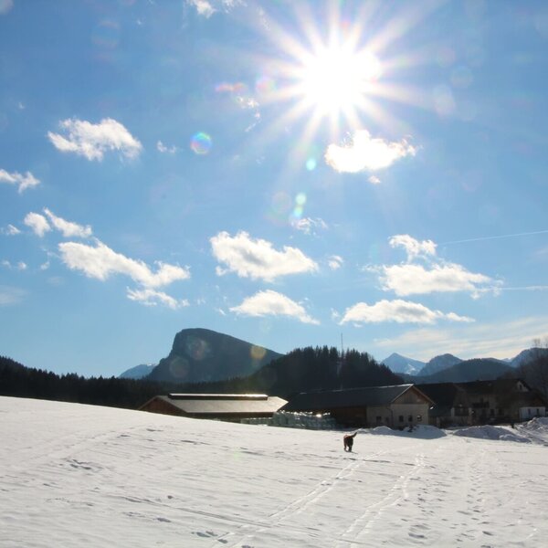 Blick auf den Bauernhof, umgeben von schneebedeckten Feldern und einer winterlichen Bergkulisse.