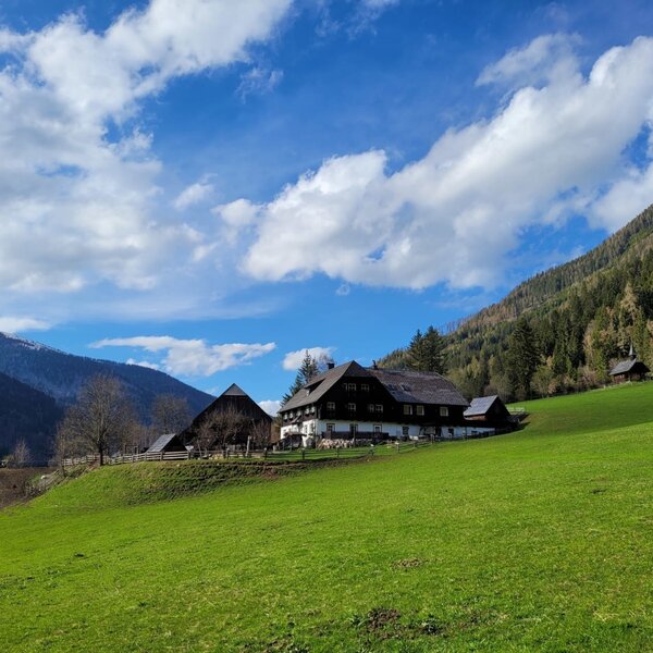 Der Bauernhof, umgeben von grünen Wiesen und Bergen, bietet Zimmer und teilweise Ferienwohnungen.