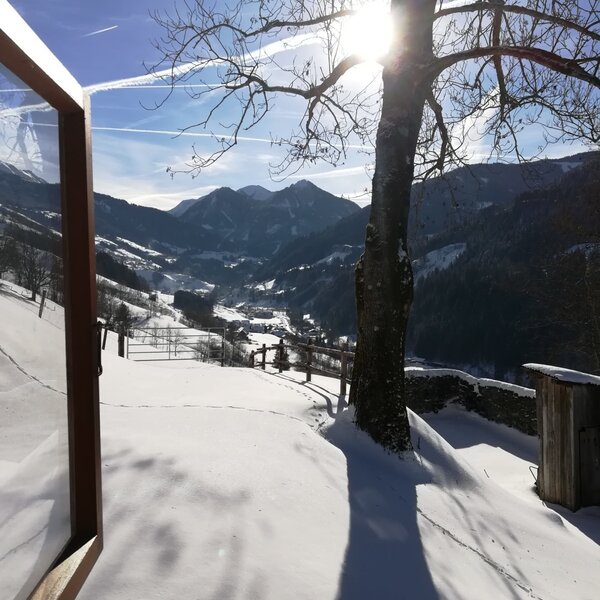 Fenster auf, Natur rein