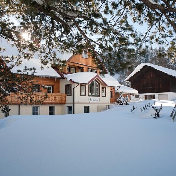 Der schneebedeckte Bauernhof mit traditioneller Holzscheune und einem Holzschaukel-Set für Kinder im Garten.