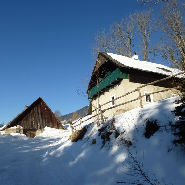 Winterurlaub auf der Alm