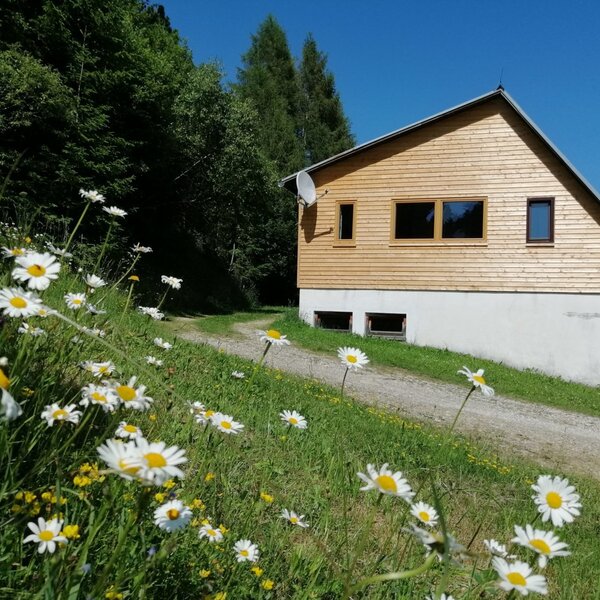 The exterior of the farmhouse, featuring a wooden facade, a gravel path, and wildflowers.