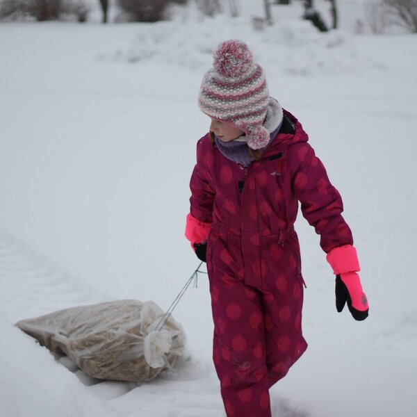 Sack sliding at Hönigshof