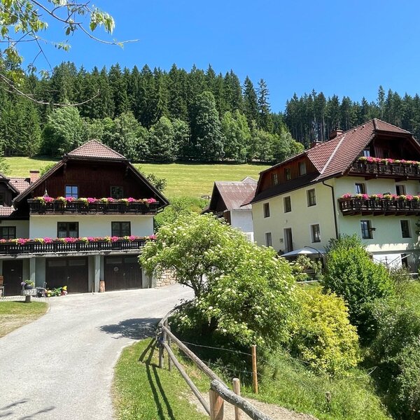 Die zwei Gebäude des Bauernhofs mit Blumenbalkonen und Zufahrt sind umgeben von grünen Hügeln und Wald.