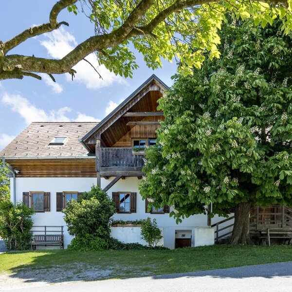 Das einladende alte Bauernhaus mit der Ferienwohnung. Traditionelles Lärchenholz und einem schattigen Kastanienbaum.