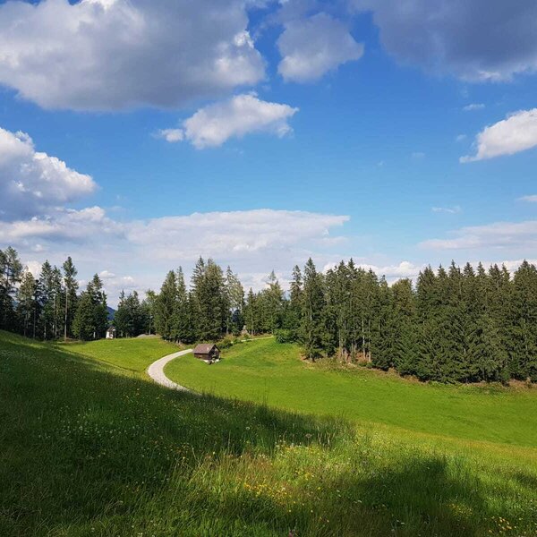 The farmhouse offers views of green meadows, pine forests, and a winding path.