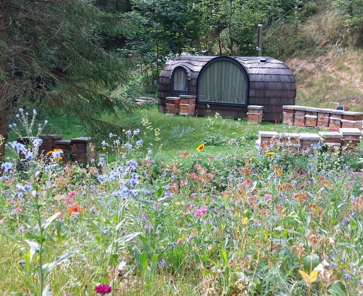 Fasshaus-Unterkunft des Igluhaus, umgeben von einer bunten Blumenwiese und Bienenstöcken.