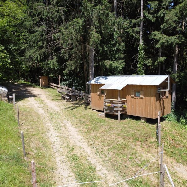 The farmhouse property features a wooden cabin with a covered porch, set alongside a forest path with an outdoor picnic table.