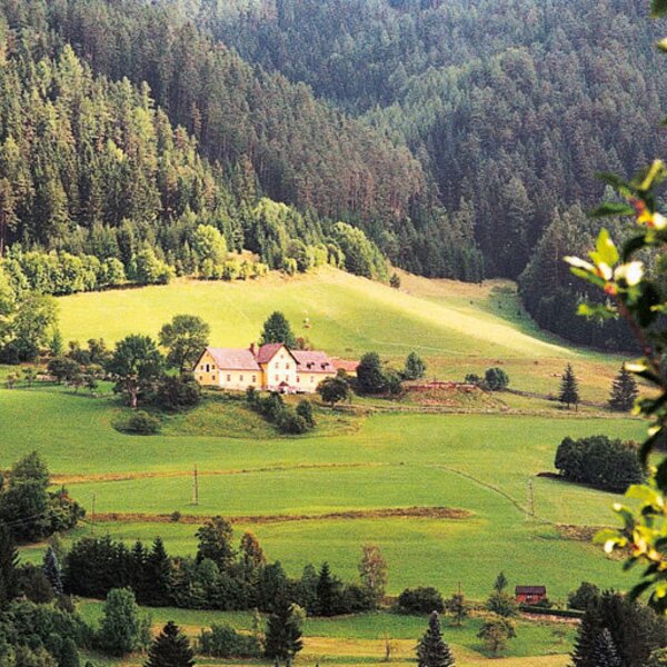 Das Marx Bauernhaus im Sommer