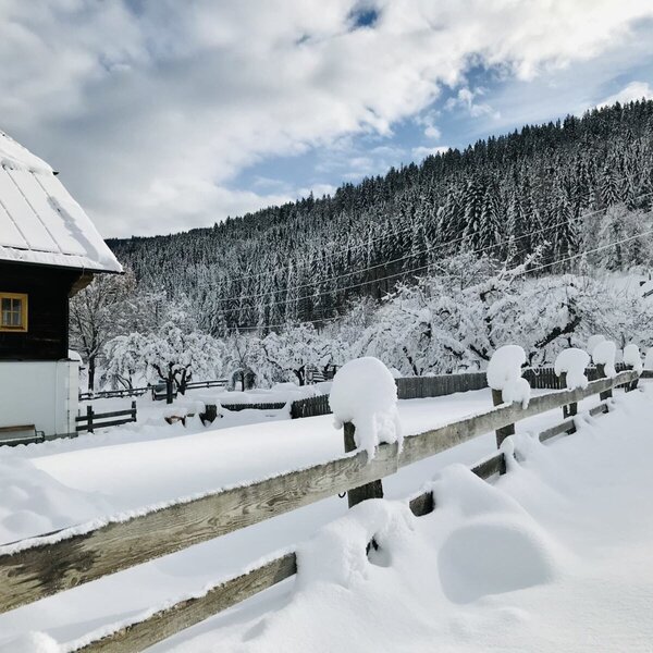 The exterior of the Farm House in winter, featuring a snow-covered roof, a wooden fence, and a forested hillside.