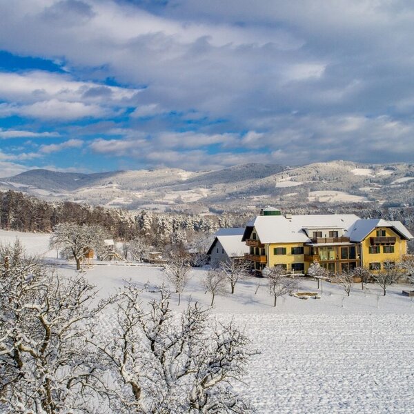 Der Bauernhof inmitten einer verschneiten Winterlandschaft mit Panoramablick auf die umliegenden Berge und den Naturpark Pöllauer Tal.