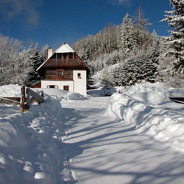 Das Bauernhaus im Winter, umgeben von verschneiten Bäumen und Wegen.