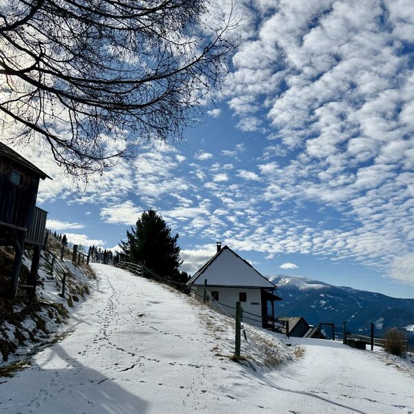 Der Hof liegt auf einem verschneiten Hang mit Blick auf die Berge.