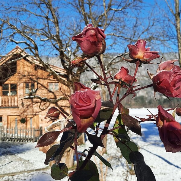 Ferienhaus im Winter