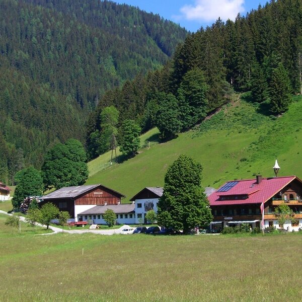 Der Bauernhof mit mehreren Gebäuden und rotem Dach befindet sich in einer grünen Wiesenlandschaft vor einem bewaldeten Berg.