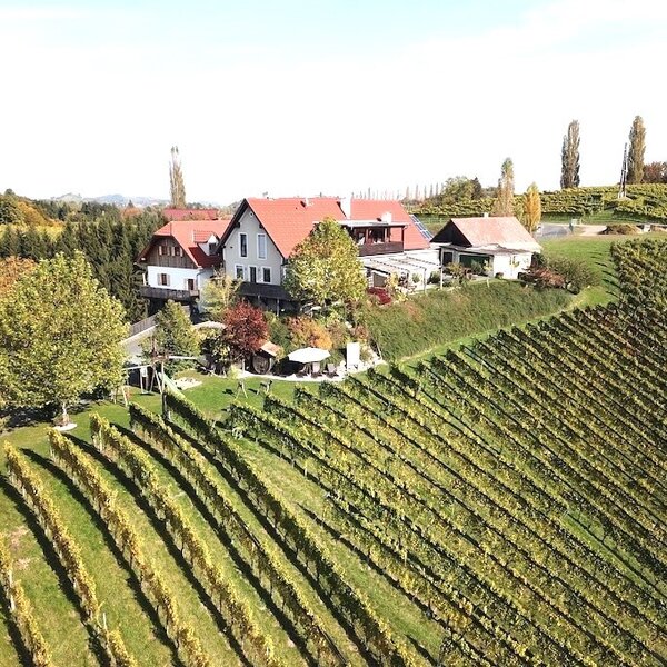 The farmhouse is located on a hillside, surrounded by extensive vineyards.