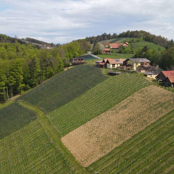 An aerial view of the farmhouse situated among vineyards and wooded hills.