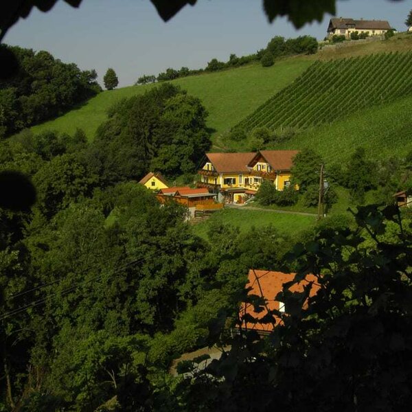 Weingut Stoff