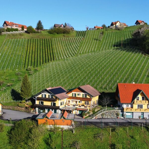Das Haus befindet sich in einer grünen Hügellandschaft mit umliegenden Weinbergen.