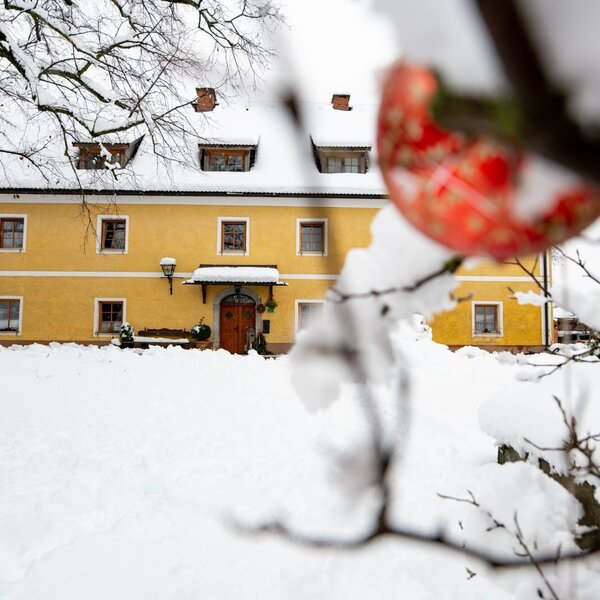 Winter am Zehenthof - Region Graz