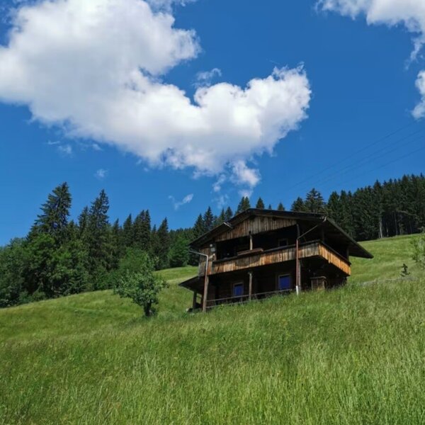 Die Alm ist ein Holzgebäude auf einem grünen Wiesenhang, umgeben von Wald.