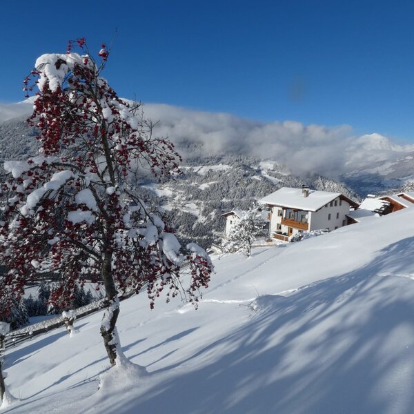 Biohof-Inntalblick, eingebettet im Winterweiß