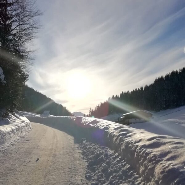 A snow-covered road leading towards the farm house, set amidst forested hills.