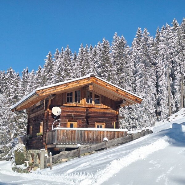 The wooden Alpine Hut, featuring a balcony, surrounded by snow-covered pine trees in a winter setting.