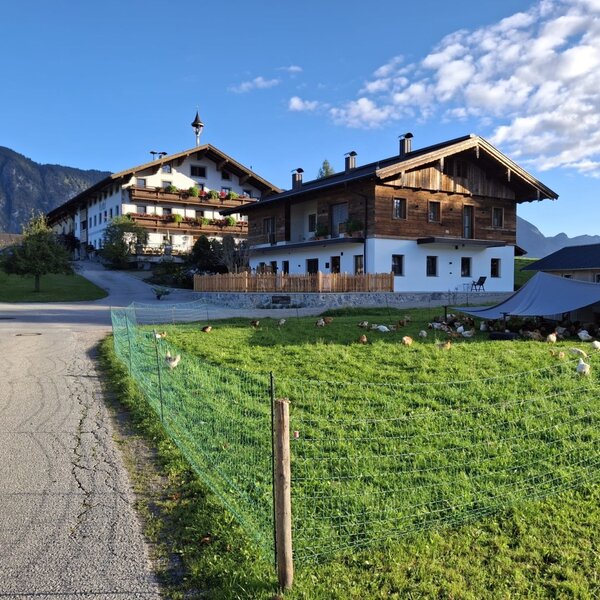The farm house exterior, featuring traditional buildings with a fenced chicken paddock in the foreground and surrounding mountains.