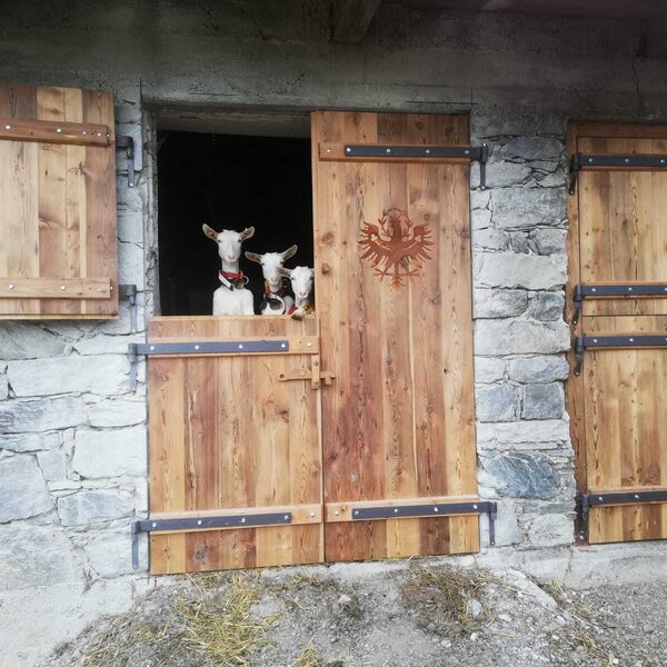 Drei Ziegen blicken aus dem Stallfenster des Bauernhofs.