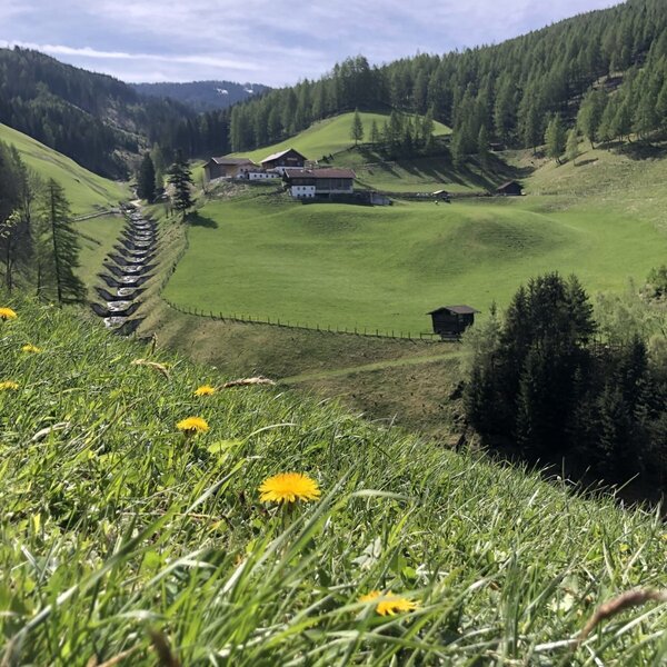 the mountain farm Zirkenhof