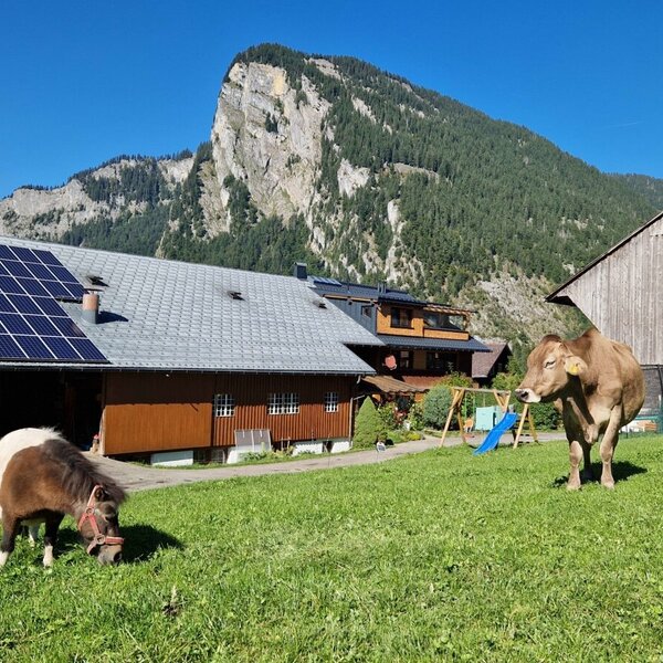 Berlinger holiday farm surrounded by meadows with ponies and cows, a children's playground and mountain views.