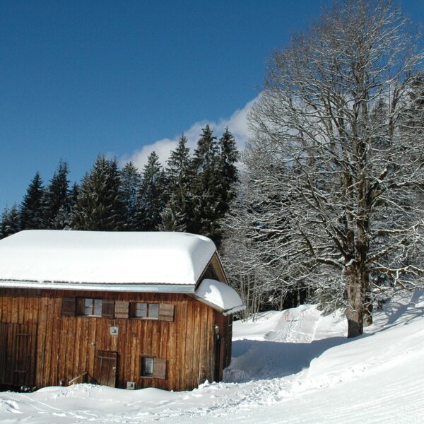 Birihof Winter / Hüttenurlaub