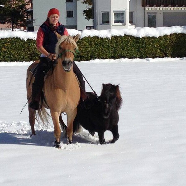 Reiterin auf einem Pferd mit einem Pony im Schnee auf dem Bauernhof.