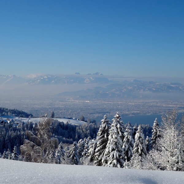 dieser gigantische Blick verzaubert auch Euch - das Bodenseegebiet im romantischen Winterkleid