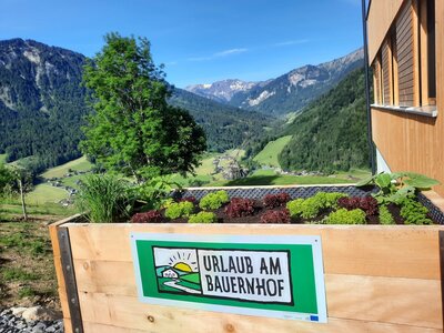 Gemüse und Kräuter zum Selberernten im Hochbeet Gemüse und Kräuter zum Selberernten im Hochbeet